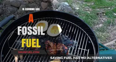 How Cooking Gas is Related to Fossil Fuels
