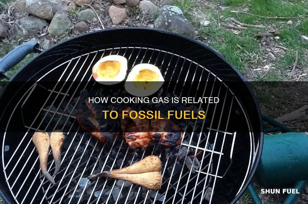 is cooking gas a fossil fuel