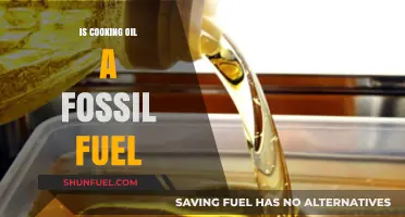 Cooking Oil and Fossil Fuel: What's the Connection?