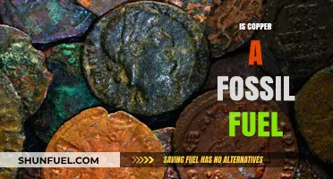 Copper: Fossil Fuel or Not?