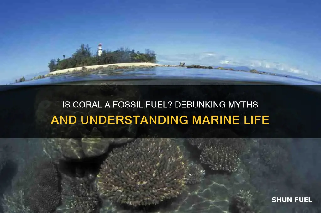 is coral a fosssil fuel