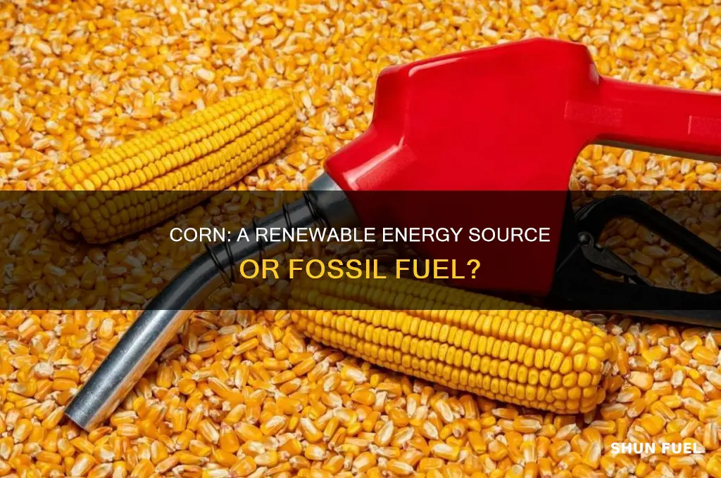 is corn a fossil fuel
