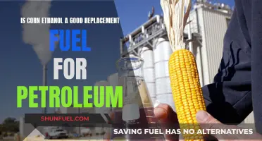 Ethanol: A Green Alternative to Petroleum?