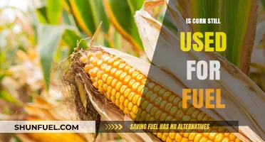 Is Corn Still Fueling Our Future? Exploring Biofuel's Role Today