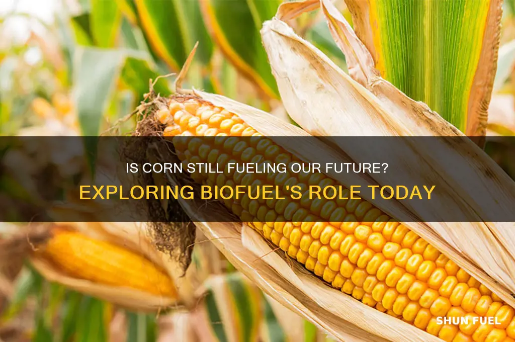 is corn still used for fuel