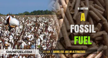 Cotton: Fossil Fuel or Natural Wonder?