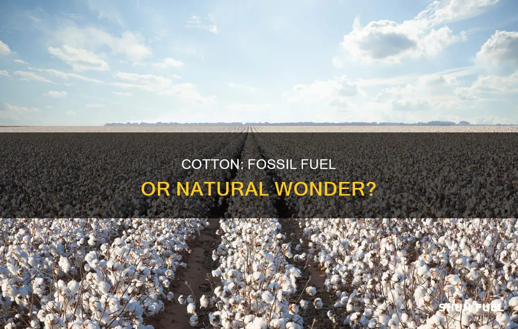 is cotton a fossil fuel