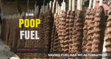 Cow Poop as Fuel: Sustainable Energy Source or Just Manure?