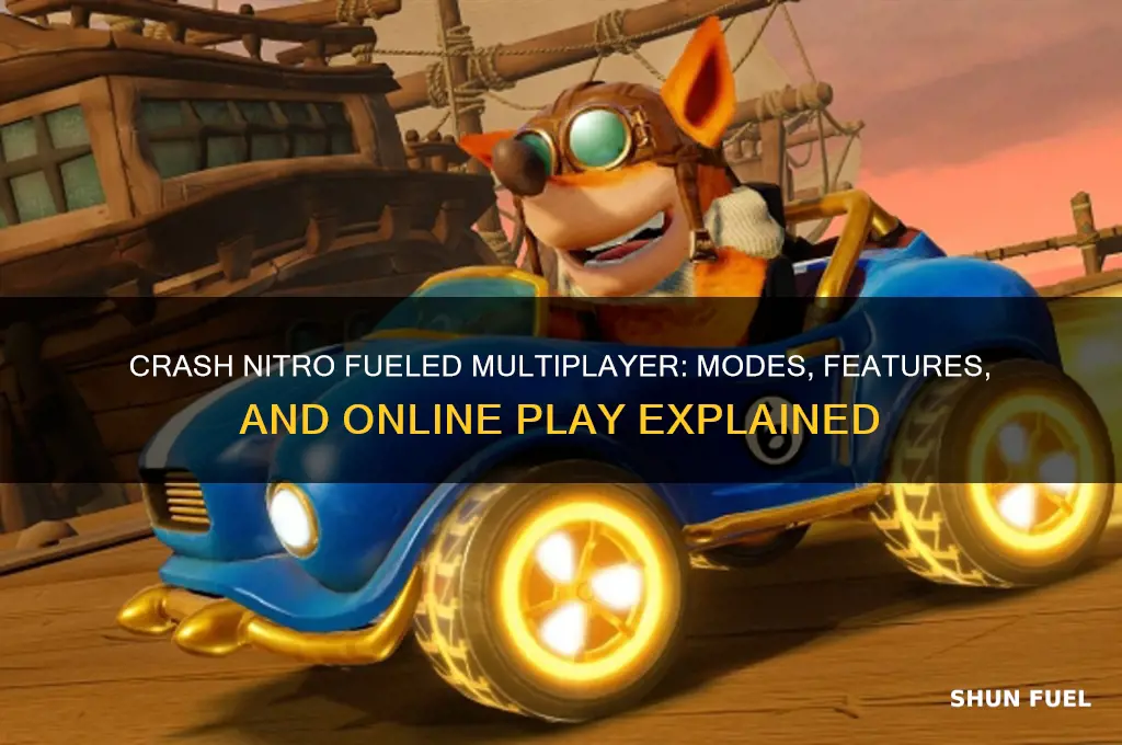 is crash nitro fueled multiplayer