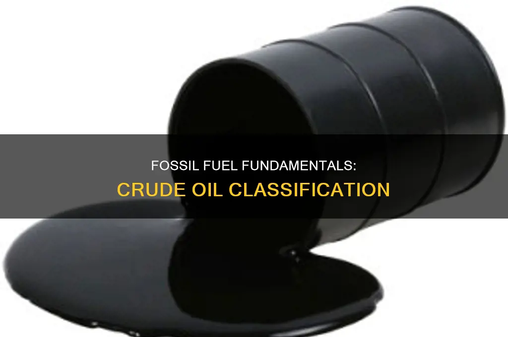is crude oil a type of fossil fuel