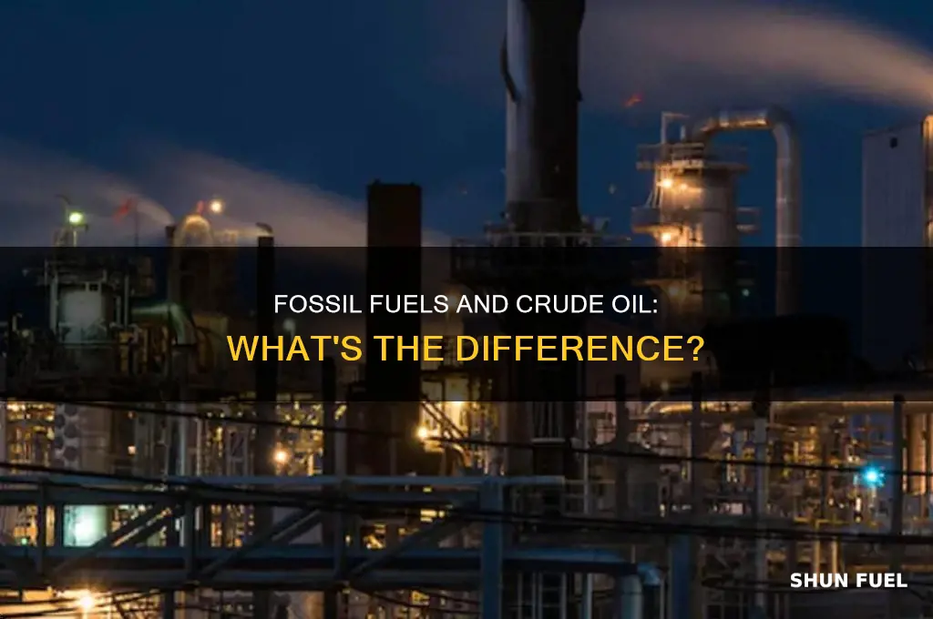 is crude oil and fossil fuel the same