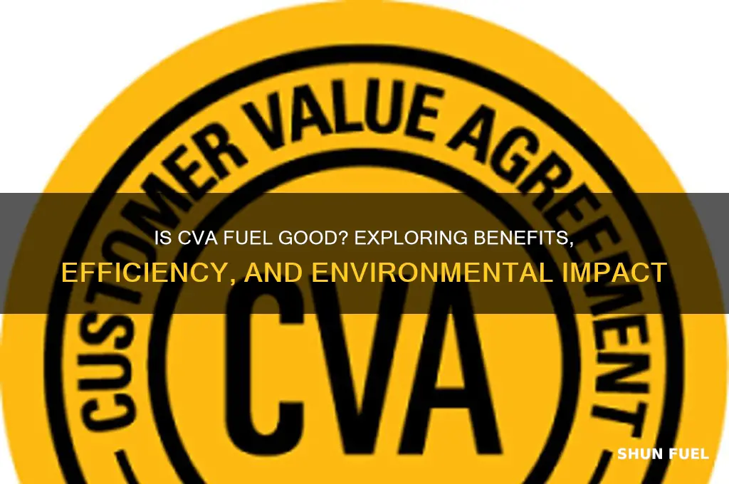is cva fuel goos