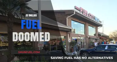 Is Dallas Fuel Doomed? Analyzing Their Struggles and Future Prospects