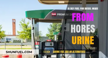 Horse Urine: Diesel Fuel's Surprising Origin Story