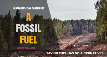 Deforestation and Fossil Fuels: What's the Connection?