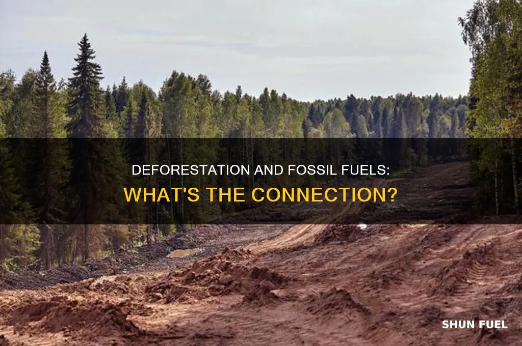 is deforestation considered a fossil fuel