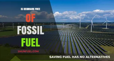 Denmark's Transition: Free of Fossil Fuels?