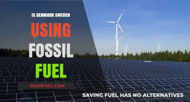 Denmark and Sweden's Fossil Fuel Future
