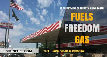 Freedom Gas: Department of Energy's New Spin on Fossil Fuels