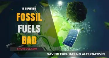 Fossil Fuels: Depleting Our Future?