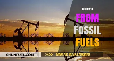 Fossil Fuels: The Past Powering Our Present