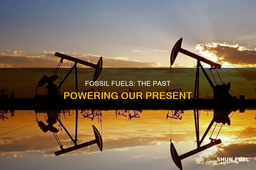 is derived from fossil fuels