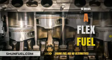 Flex Fuel and Diesel: What's the Difference?