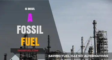 Diesel: Fossil Fuel or Not?