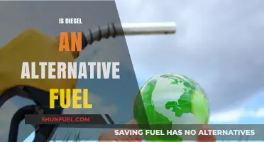 Diesel: An Alternative Fuel Option?