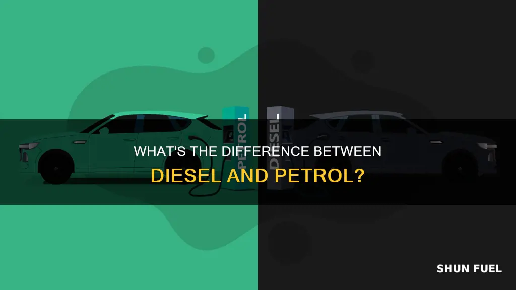 is diesel and petrol fuel the same
