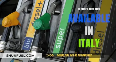 Diesel Auto Fuel in Italy: Availability and Accessibility
