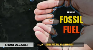 Diesel: Fossil Fuel or Not?