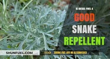 Snake Repellent: Diesel Fuel's Effectiveness