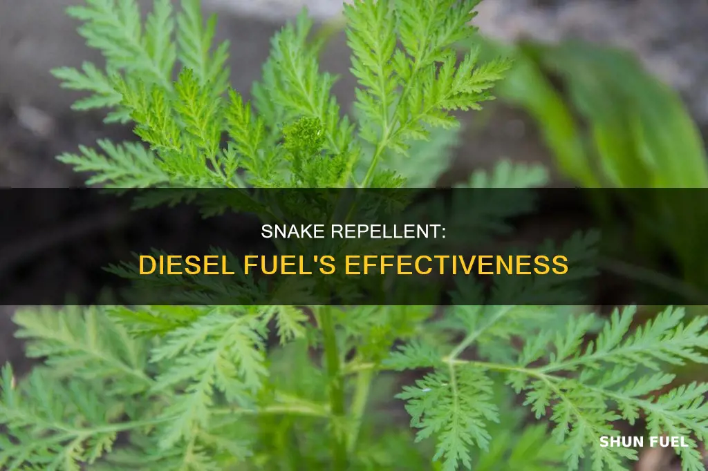 is diesel fuel a good snake repellent