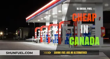 Diesel Fuel in Canada: Affordable or Not?
