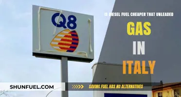 Diesel vs. Unleaded in Italy: Which Fuel Costs Less?