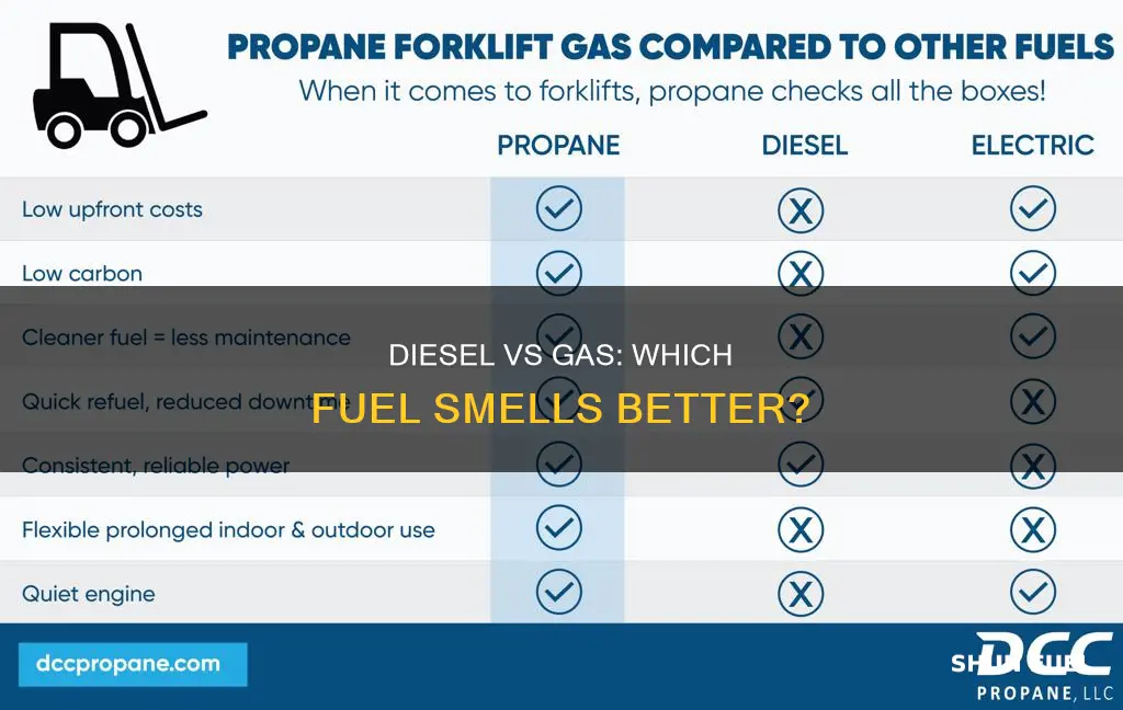 is diesel fuel cleaner than gas but smell