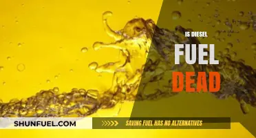 The Death of Diesel: What's Next for Fuel?