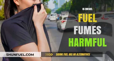 Diesel Fumes: Are They Harmful to Your Health?