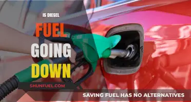 Diesel Fuel Price Drop: What's Next?