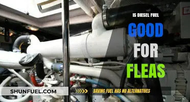 Killing Fleas with Diesel Fuel: Is It Effective?