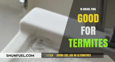 Termites and Diesel: A Lethal Combination?