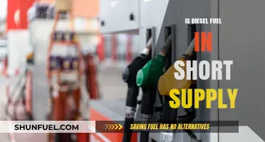 Diesel Fuel: Supply Crunch and Future Outlook