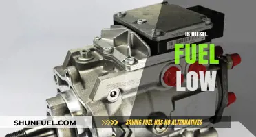 Diesel Fuel: Low Levels, High Concerns
