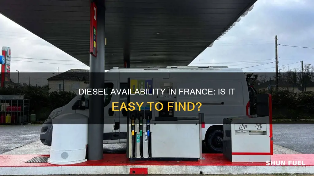 is diesel fuel readily available in france