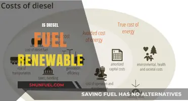 The Future of Diesel: Renewable or Relic?