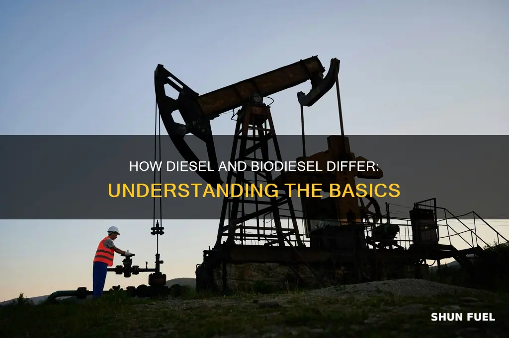 is diesel fuel same as biodiesel