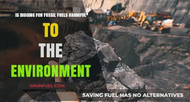 Fossil Fuel Excavation: Environmental Friend or Foe?