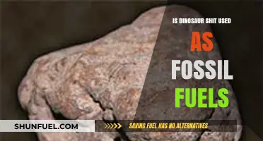 Dinosaur Dung: Fossil Fuel Origins?