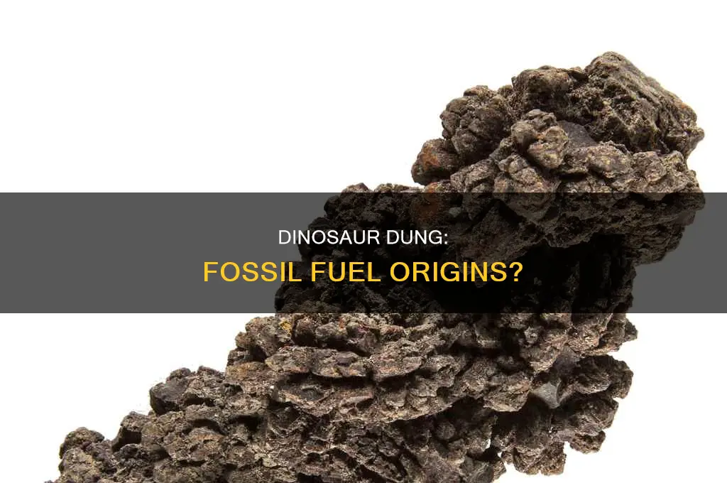 is dinosaur shit used as fossil fuels